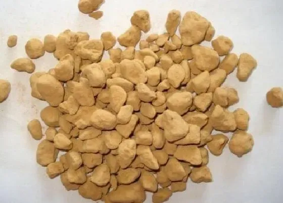 种植土壤|赤玉土的作用和功效 硬的好还是软的好