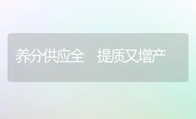 大白菜叶缘发干怎么办 | 蔬菜种植
