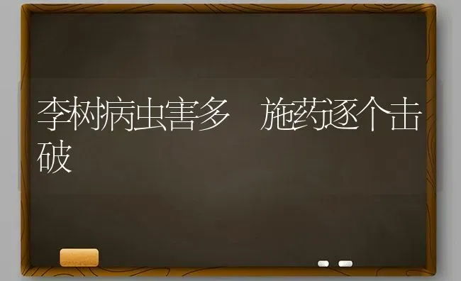 李树病虫害多 施药逐个击破 | 种植病虫害防治