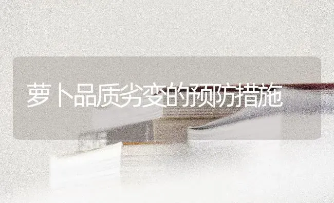 萝卜品质劣变的预防措施 | 蔬菜种植