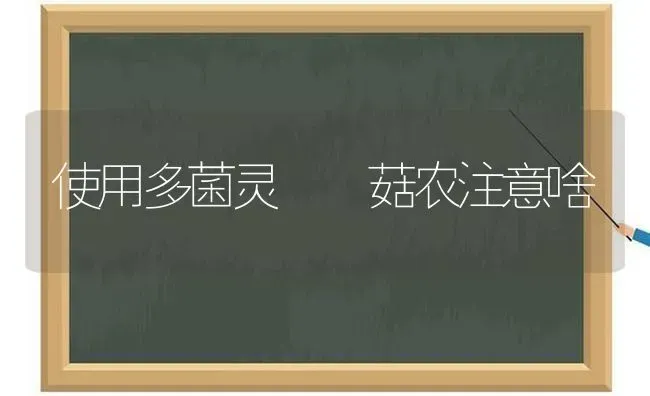 使用多菌灵  菇农注意啥 | 食用菌种植