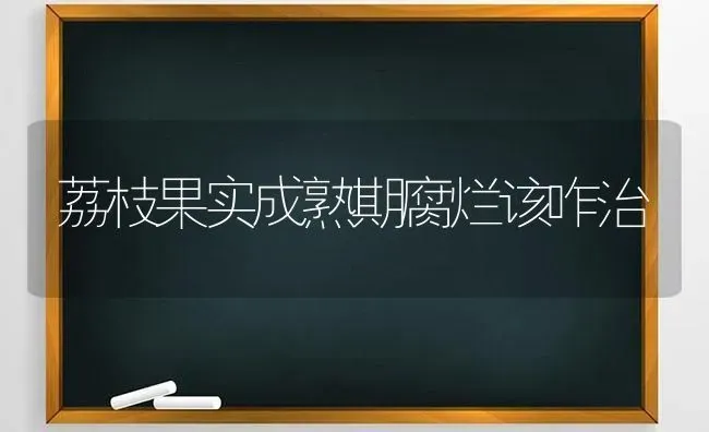 荔枝果实成熟期腐烂该咋治 | 瓜果种植