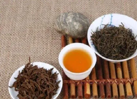 植物泡水|金骏眉存了六年能喝吗（金骏眉保质期多长时间）