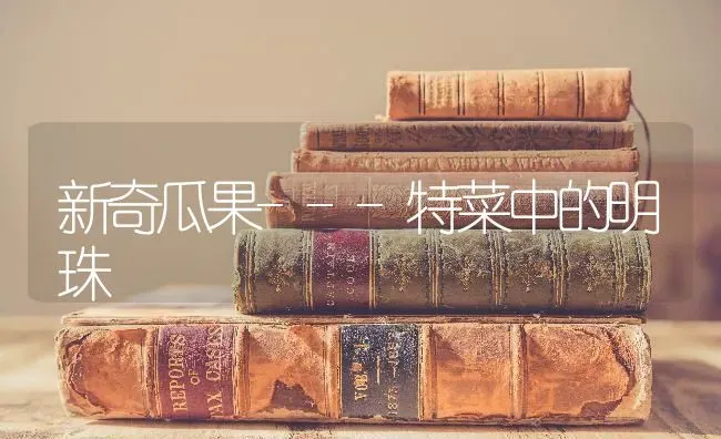 新奇瓜果---特菜中的明珠 | 瓜果种植