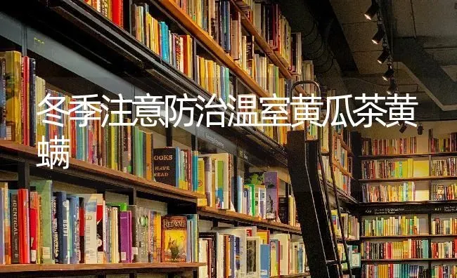 冬季注意防治温室黄瓜茶黄螨 | 蔬菜种植