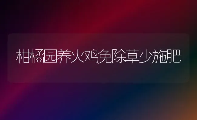 柑橘园养火鸡免除草少施肥 | 种植肥料施肥