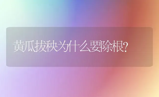 黄瓜拔秧为什么要除根？ | 蔬菜种植