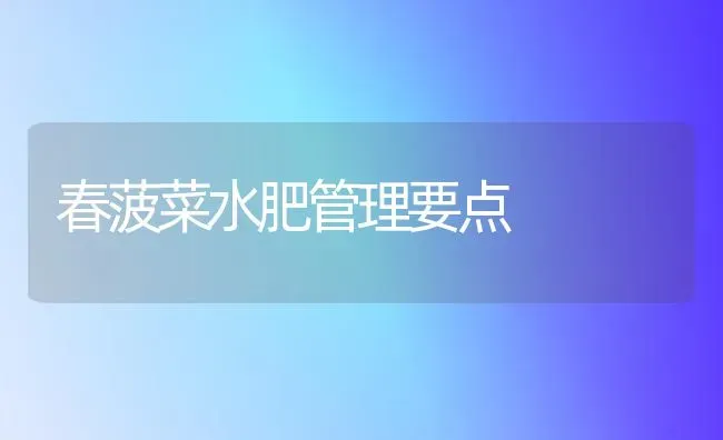 春菠菜水肥管理要点 | 蔬菜种植
