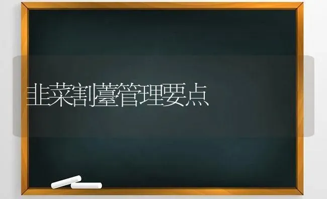 韭菜割薹管理要点 | 蔬菜种植