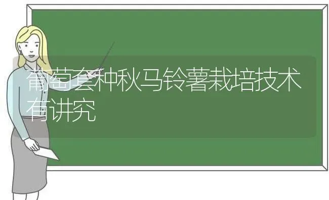 葡萄套种秋马铃薯栽培技术有讲究 | 瓜果种植