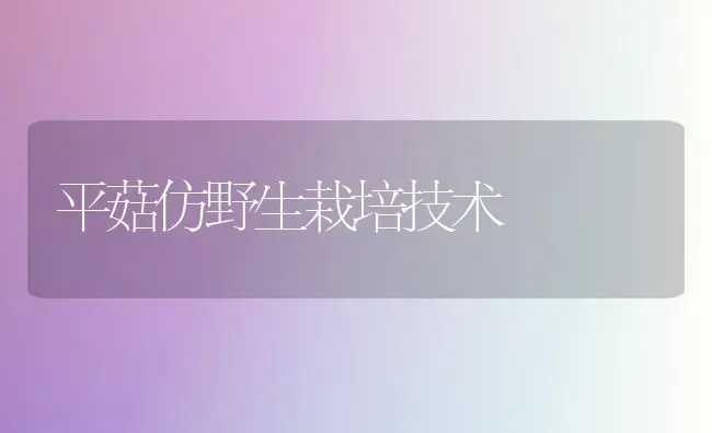 平菇仿野生栽培技术 | 食用菌种植
