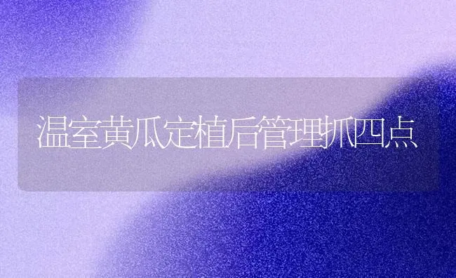 温室黄瓜定植后管理抓四点 | 蔬菜种植