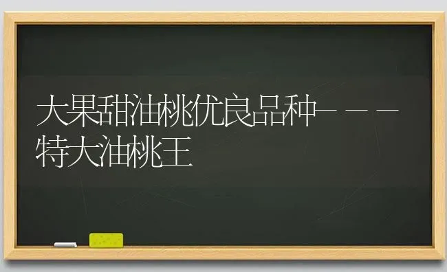 大果甜油桃优良品种---特大油桃王 | 瓜果种植