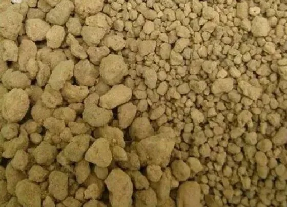 种植土壤|赤玉土的作用和功效 硬的好还是软的好