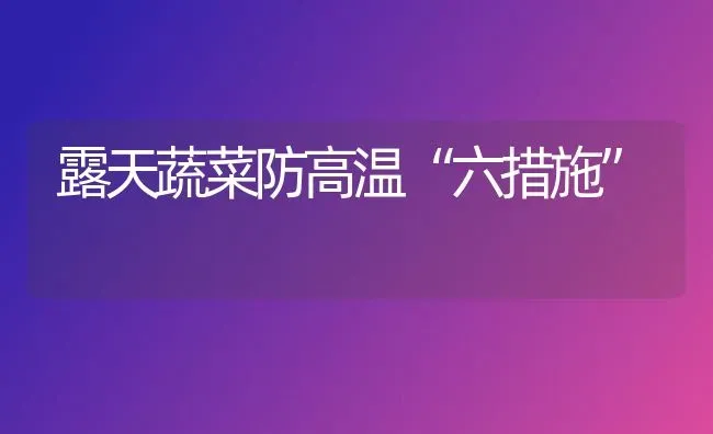 露天蔬菜防高温“六措施” | 蔬菜种植