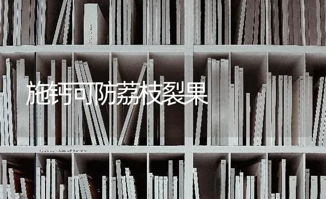 施钙可防荔枝裂果 | 瓜果种植