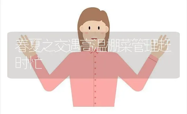 春夏之交遇高温棚菜管理赶时忙 | 蔬菜种植