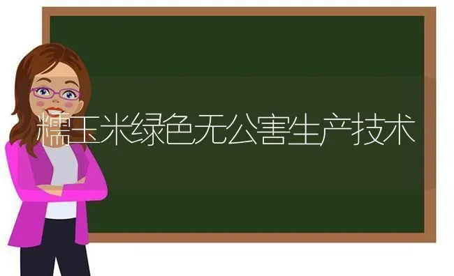 糯玉米绿色无公害生产技术 | 粮油作物种植