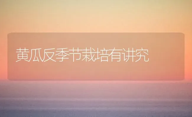 黄瓜反季节栽培有讲究 | 蔬菜种植