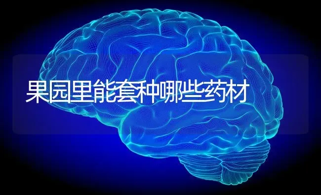 果园里能套种哪些药材 | 瓜果种植