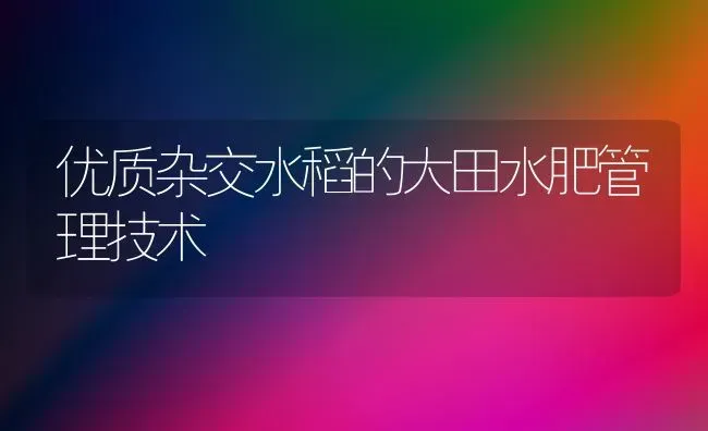 优质杂交水稻的大田水肥管理技术 | 粮油作物种植