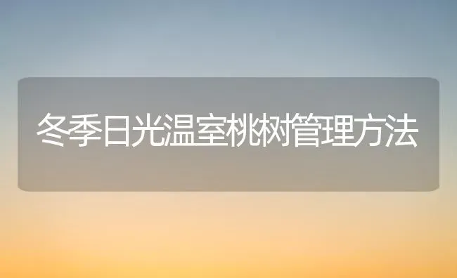 冬季日光温室桃树管理方法 | 瓜果种植