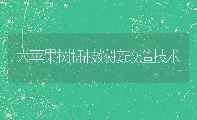 大苹果树插枝嫁接改造技术 | 瓜果种植