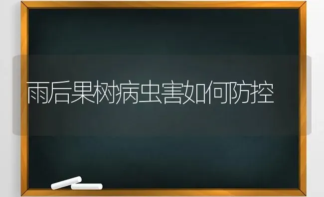 雨后果树病虫害如何防控 | 瓜果种植