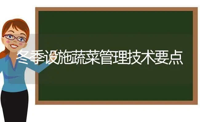 冬季设施蔬菜管理技术要点 | 蔬菜种植