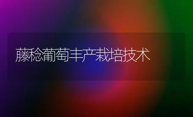 藤稔葡萄丰产栽培技术 | 瓜果种植