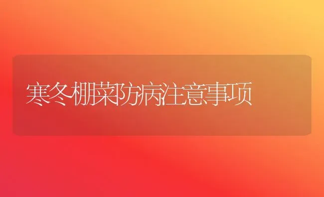 寒冬棚菜防病注意事项 | 蔬菜种植