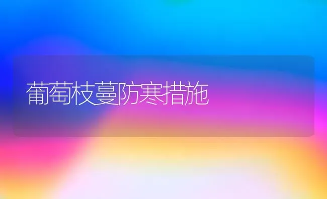 葡萄枝蔓防寒措施 | 瓜果种植