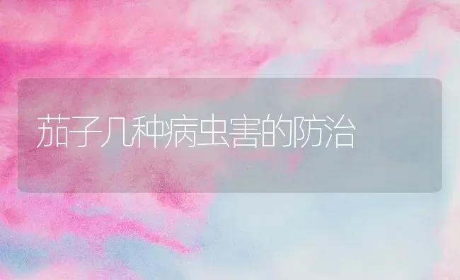茄子几种病虫害的防治 | 种植病虫害防治