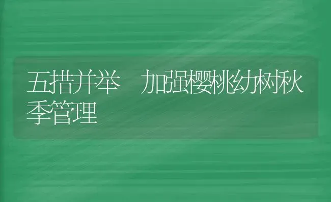 五措并举 加强樱桃幼树秋季管理 | 瓜果种植
