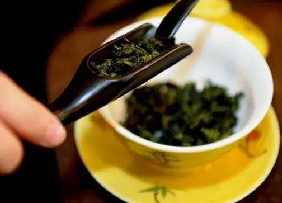 植物泡水|金骏眉存了六年能喝吗（金骏眉保质期多长时间）
