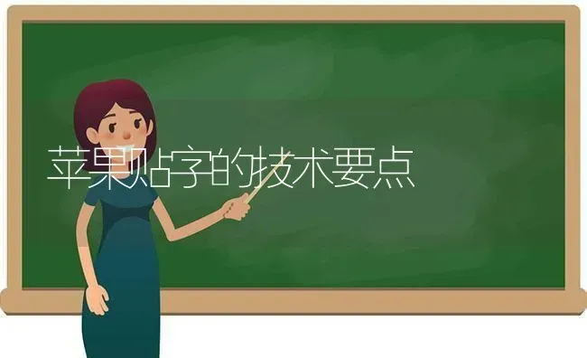 苹果贴字的技术要点 | 瓜果种植
