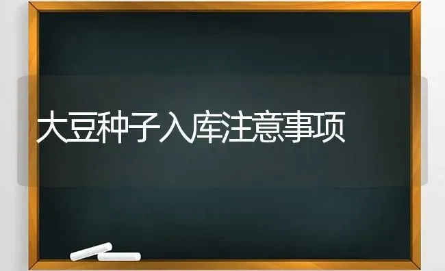 大豆种子入库注意事项 | 粮油作物种植