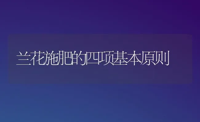 兰花施肥的四项基本原则 | 种植肥料施肥