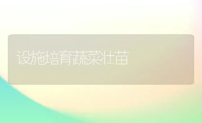 设施培育蔬菜壮苗 | 蔬菜种植