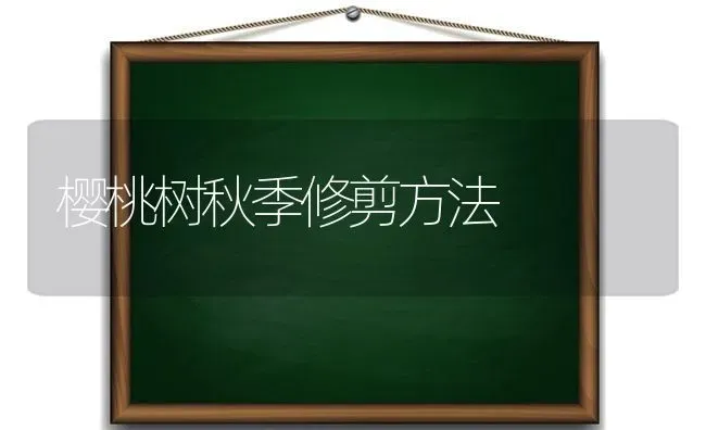 樱桃树秋季修剪方法 | 瓜果种植