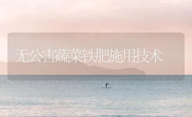 无公害蔬菜铁肥施用技术 | 蔬菜种植