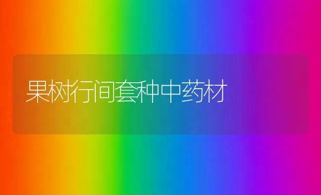 果树行间套种中药材 | 瓜果种植
