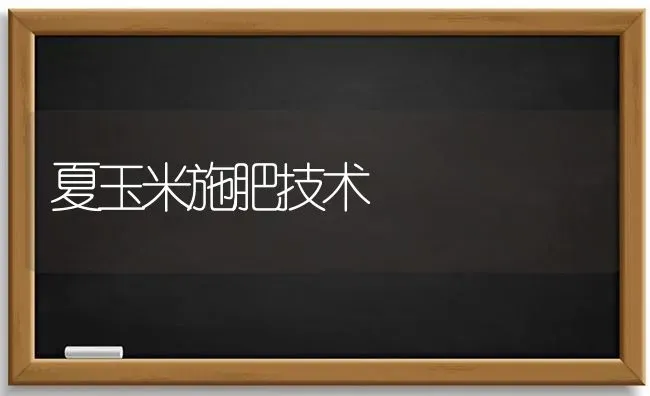 夏玉米施肥技术 | 种植肥料施肥