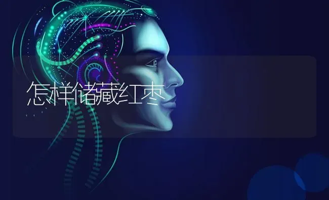 怎样储藏红枣 | 瓜果种植