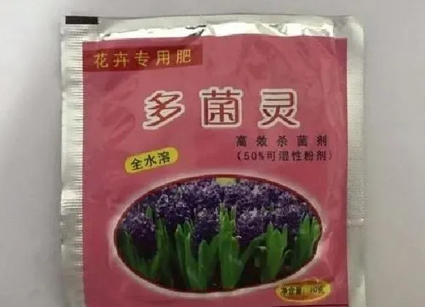 植物浇水|多菌灵可以浇花吗 适合浇什么花