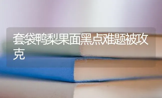 套袋鸭梨果面黑点难题被攻克 | 瓜果种植