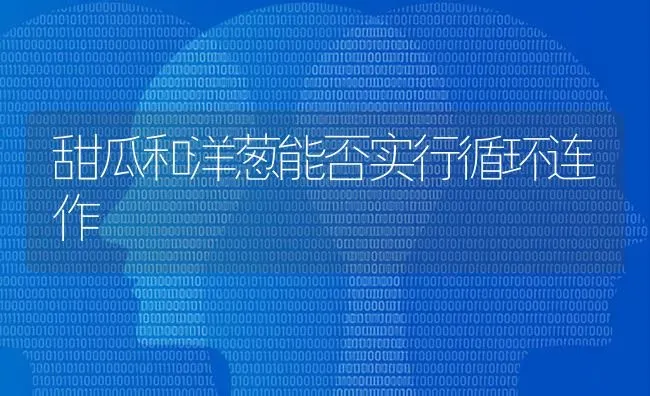 甜瓜和洋葱能否实行循环连作 | 瓜果种植