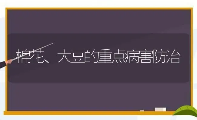 棉花、大豆的重点病害防治 | 粮油作物种植