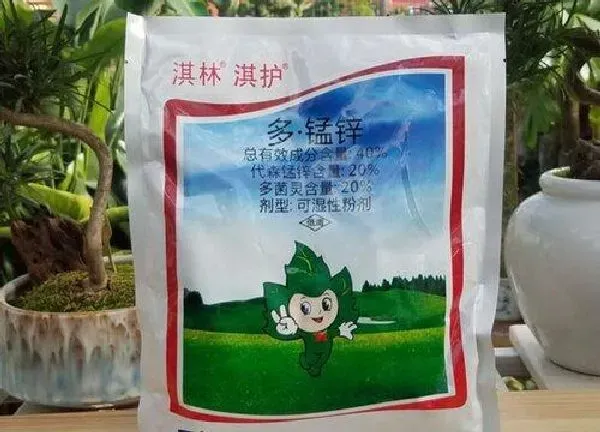 植物浇水|多菌灵溶液可以直接浇花吗 最佳的两种使用方法