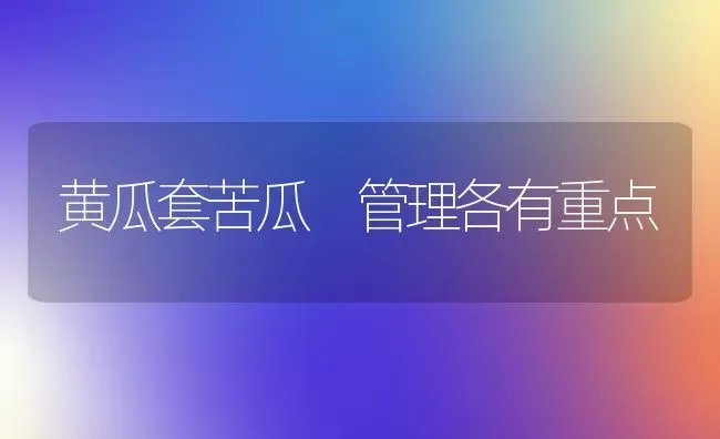 黄瓜套苦瓜 管理各有重点 | 蔬菜种植